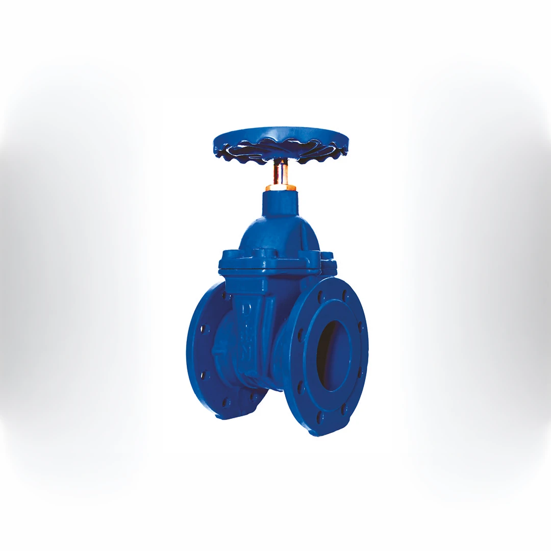 Gate Valve