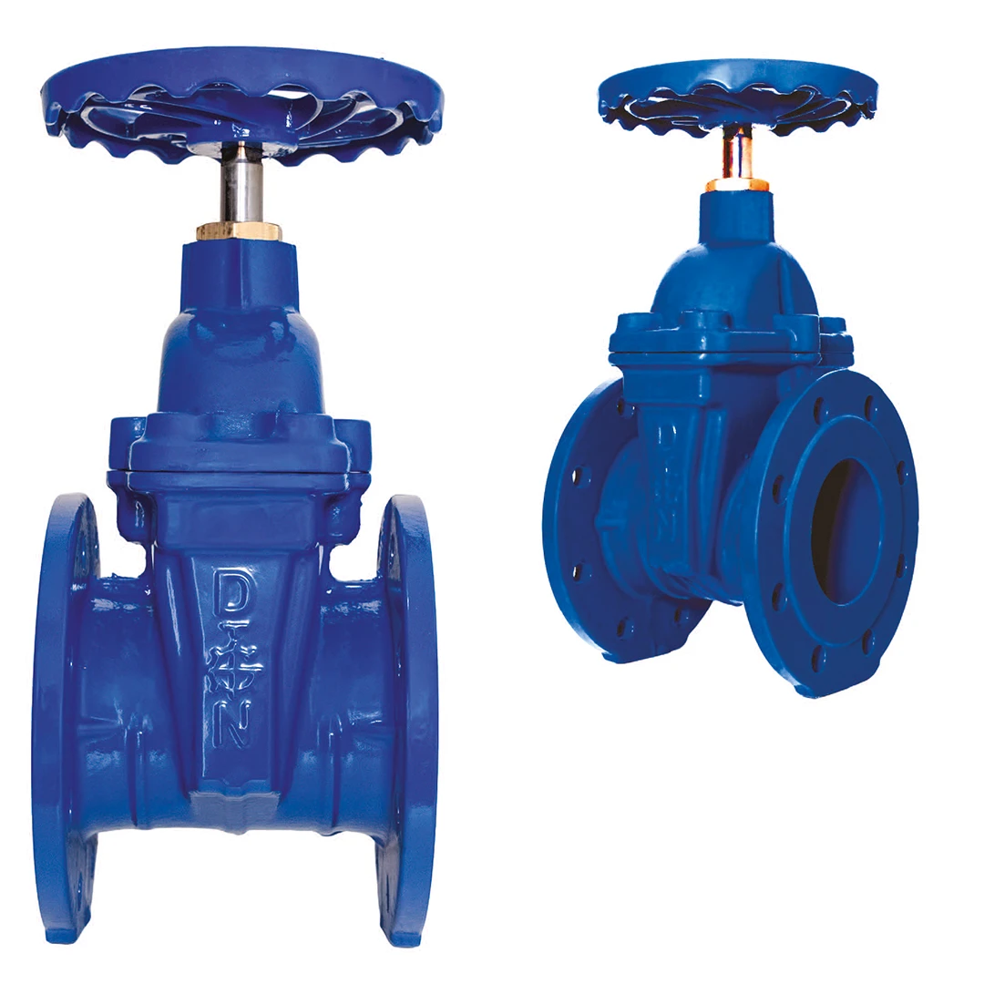 Gate Valve